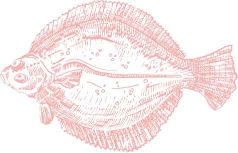 flounder-rood