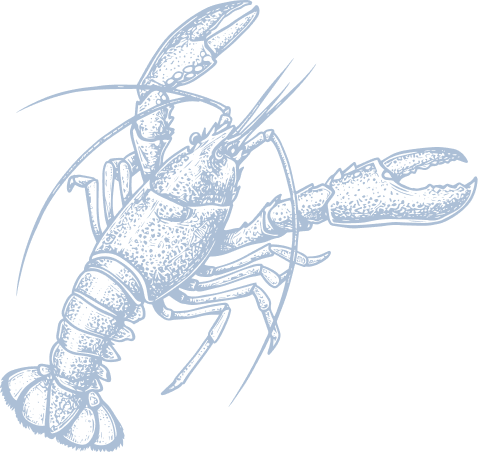 kreeft-blauw