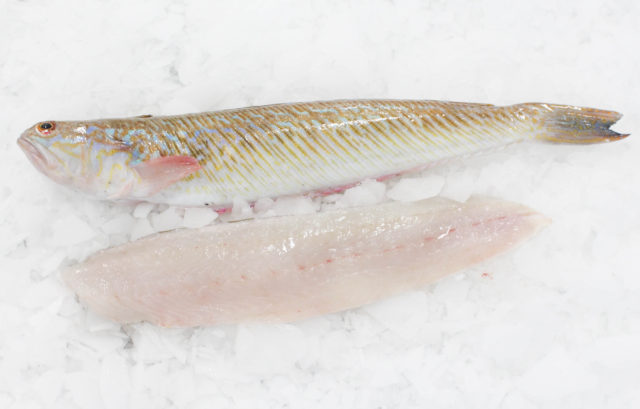pieterman, een zeer smakelijk en gemakkelijk visje - fix fisch