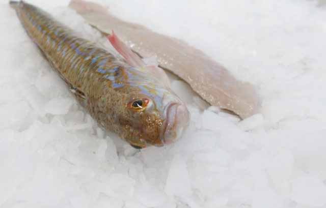 pieterman, een zeer smakelijk en gemakkelijk visje - fix fisch
