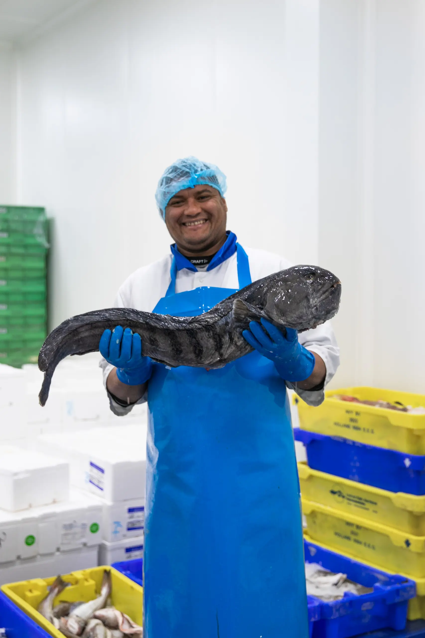 zeewolf uit versassortiment fix fisch