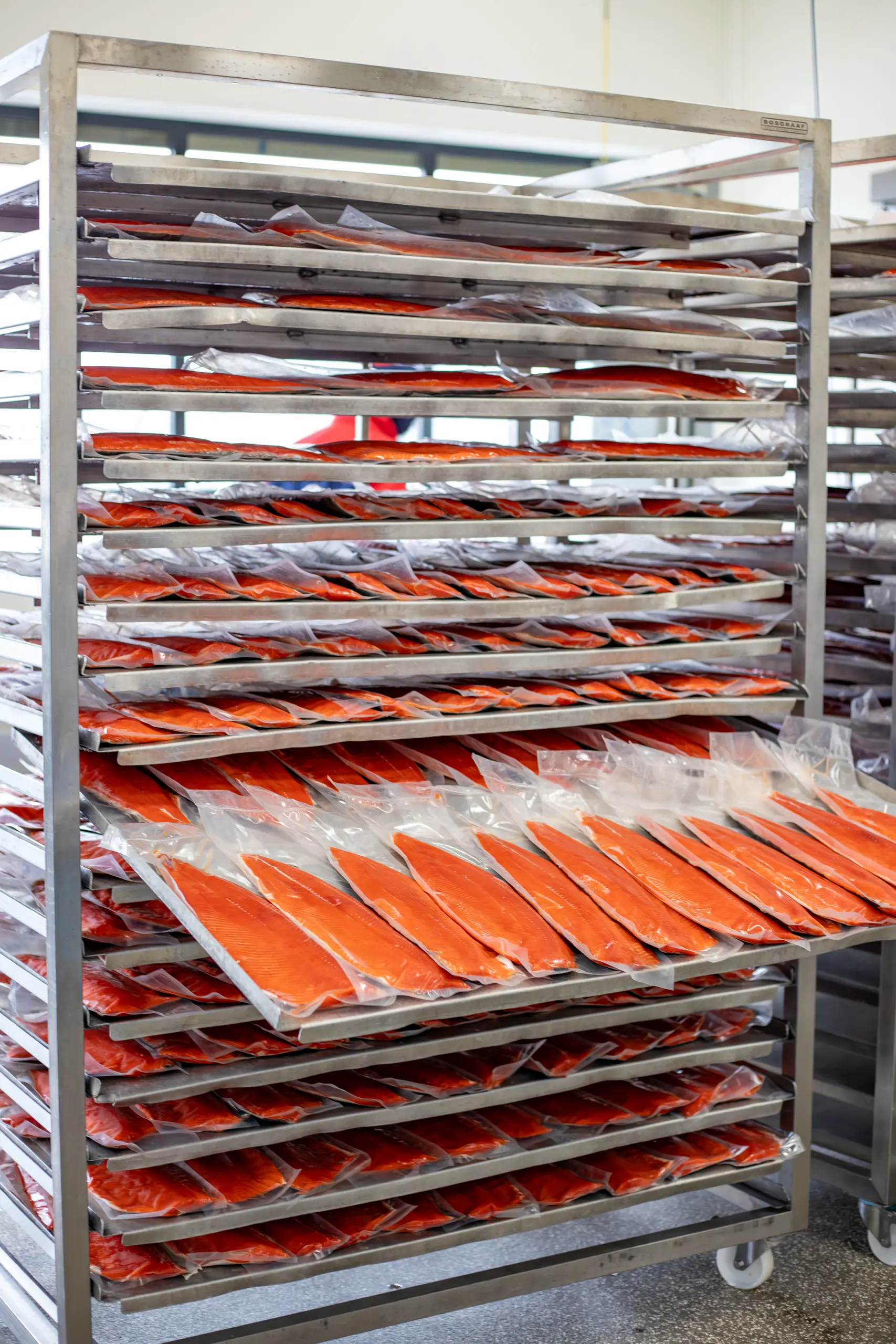 Handgefileerde wilde Sockeye zalm