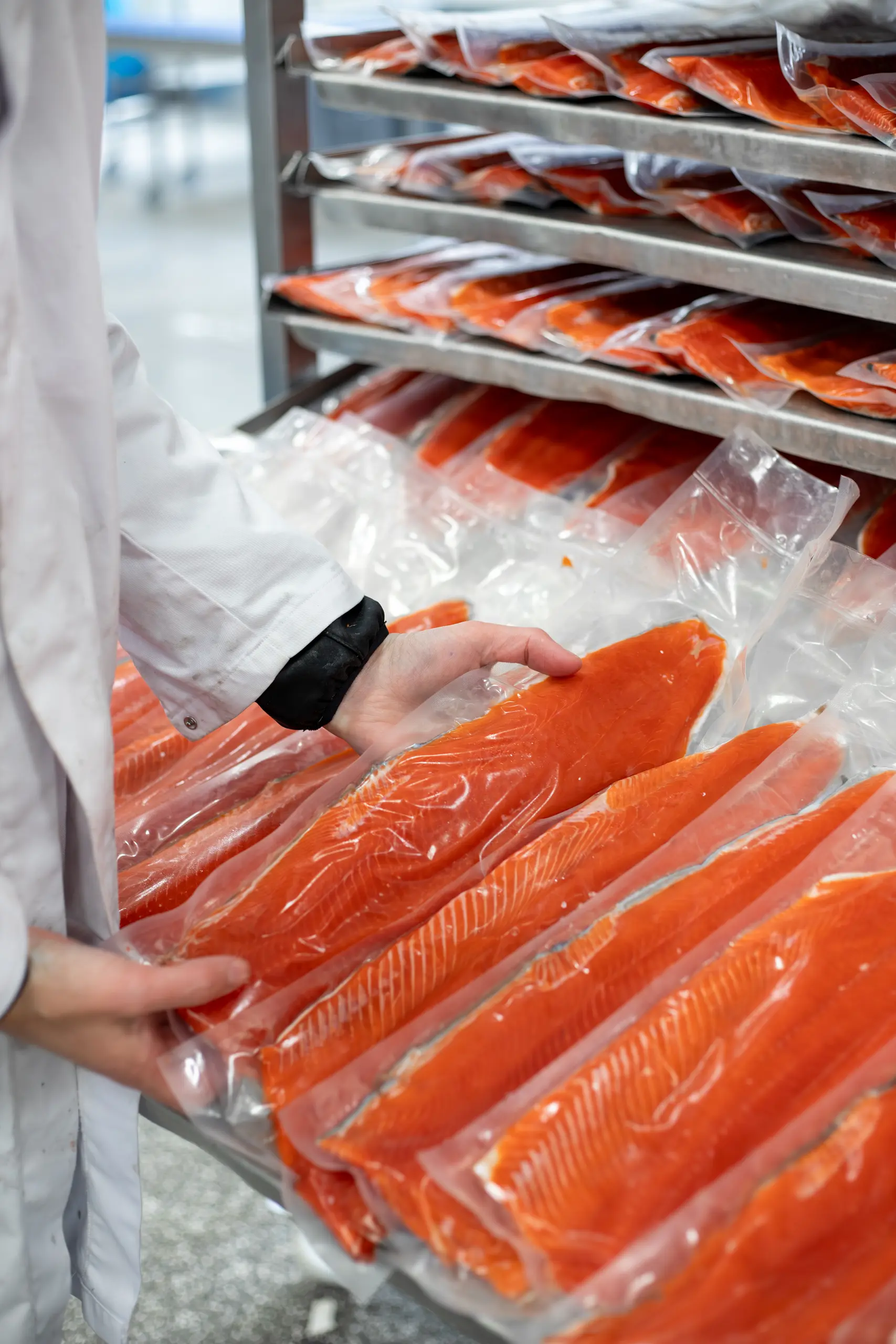 kar vol met sockeye zalmzijdes