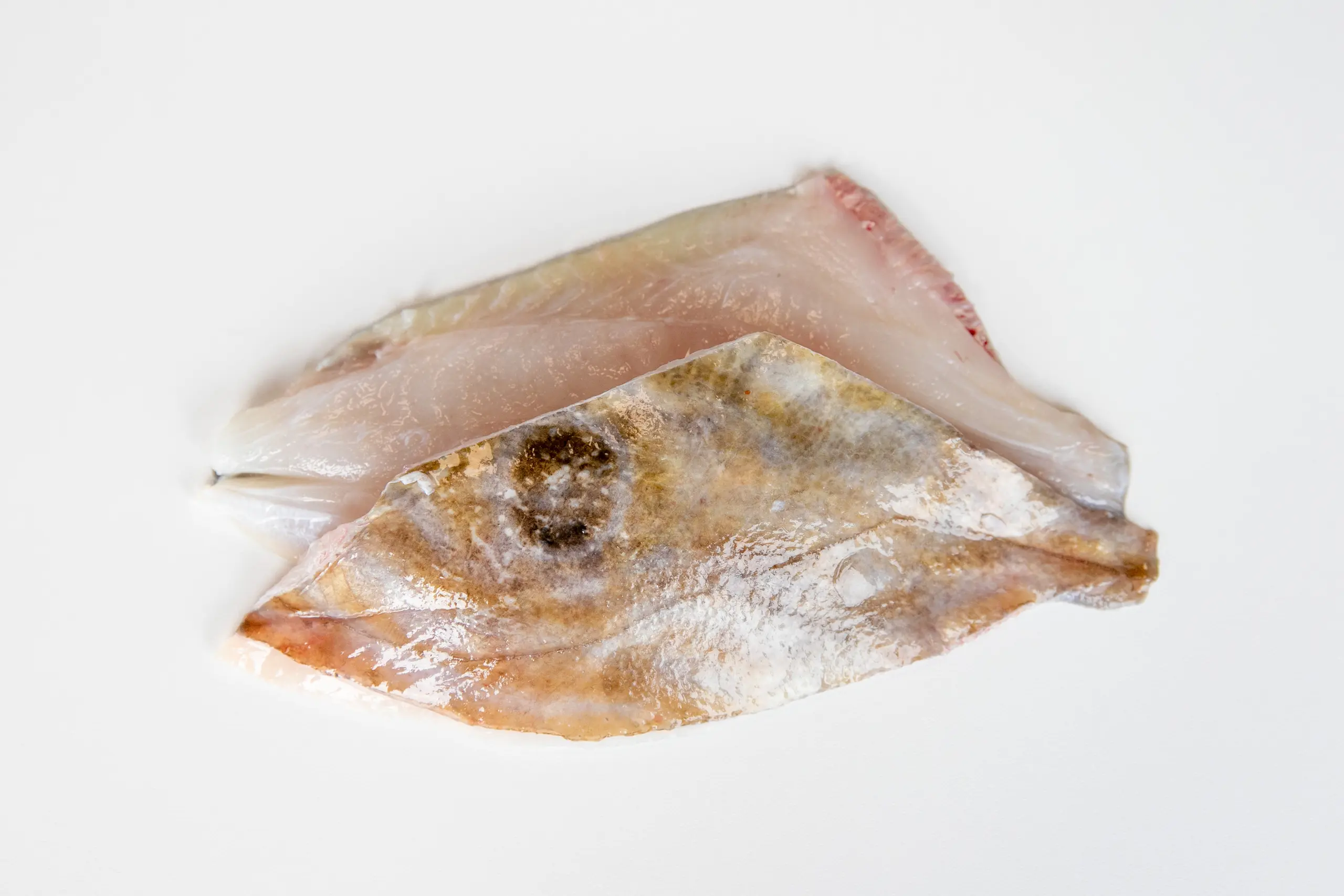 Zonnevis uit versassortiment van fix fisch zeevisgroothandel