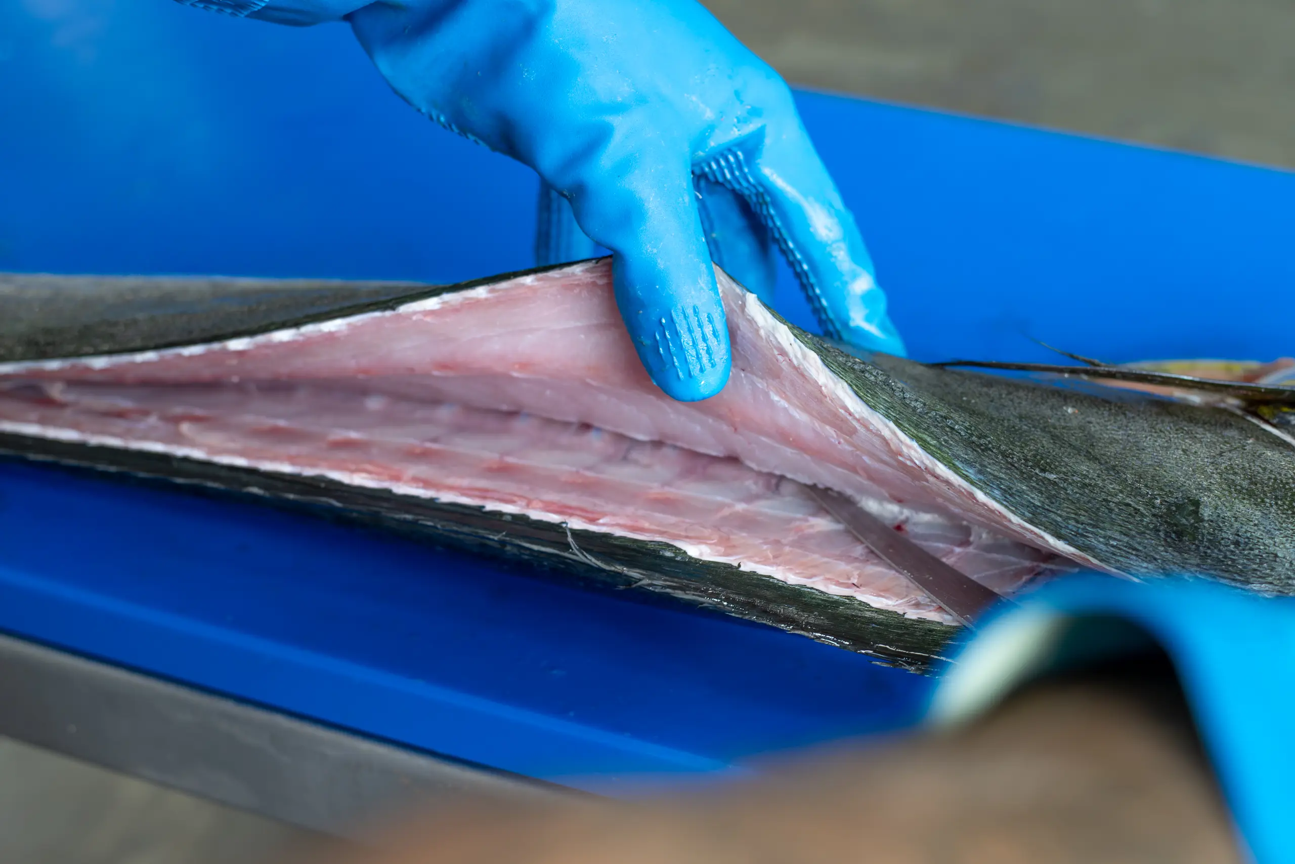 Vlijmscherpe mes skills