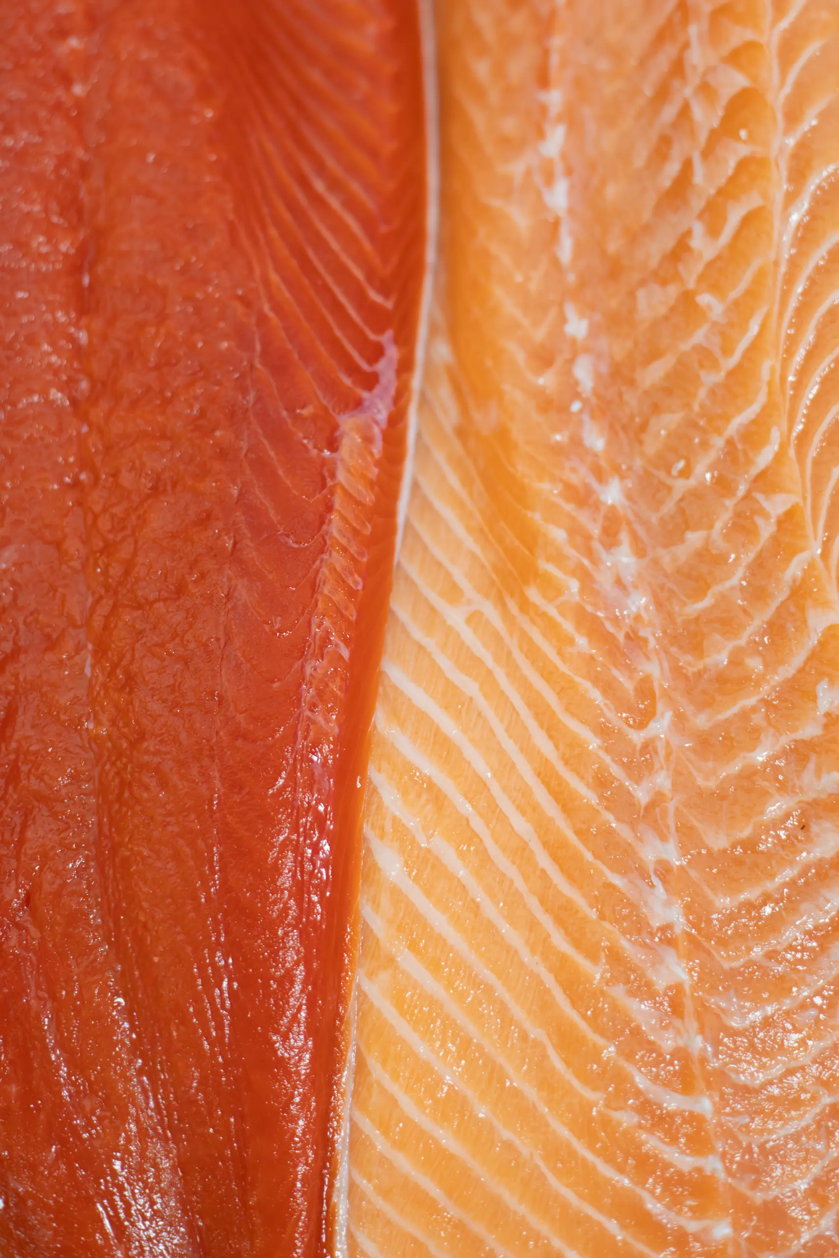 een close-up van twee zalmzijdes