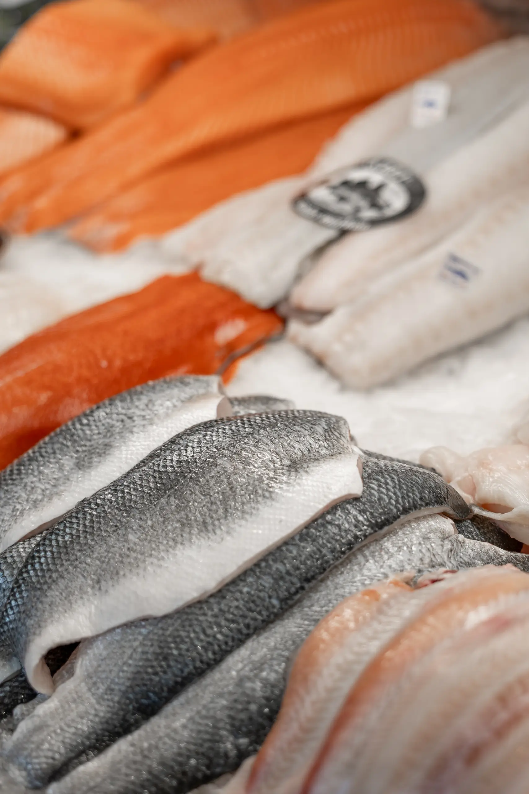 vitrine vol verse vis bij Oleron heemstede